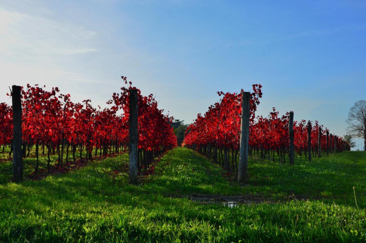 Corno di Rosazzo Alloggio Agrituristico Corte San Biagio מראה חיצוני תמונה