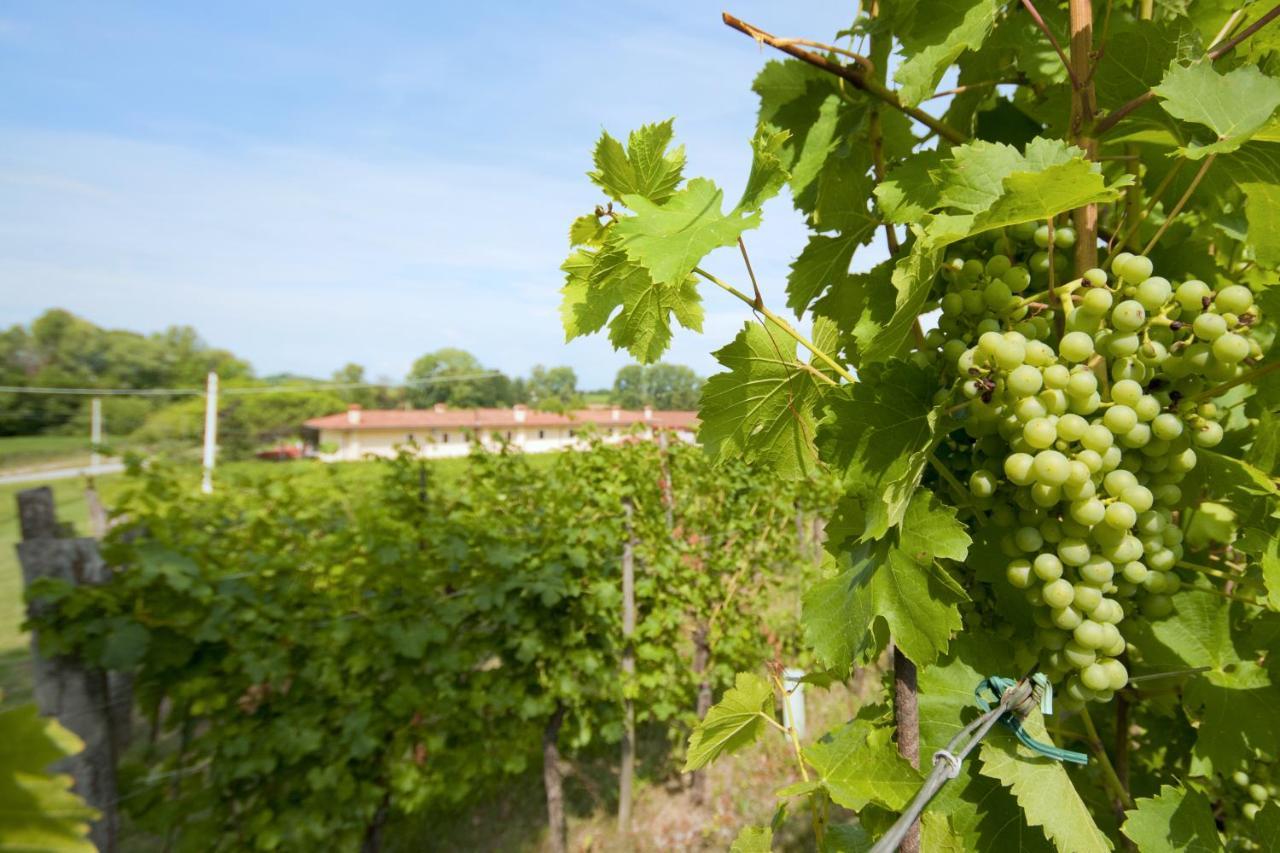 Corno di Rosazzo Alloggio Agrituristico Corte San Biagio מראה חיצוני תמונה