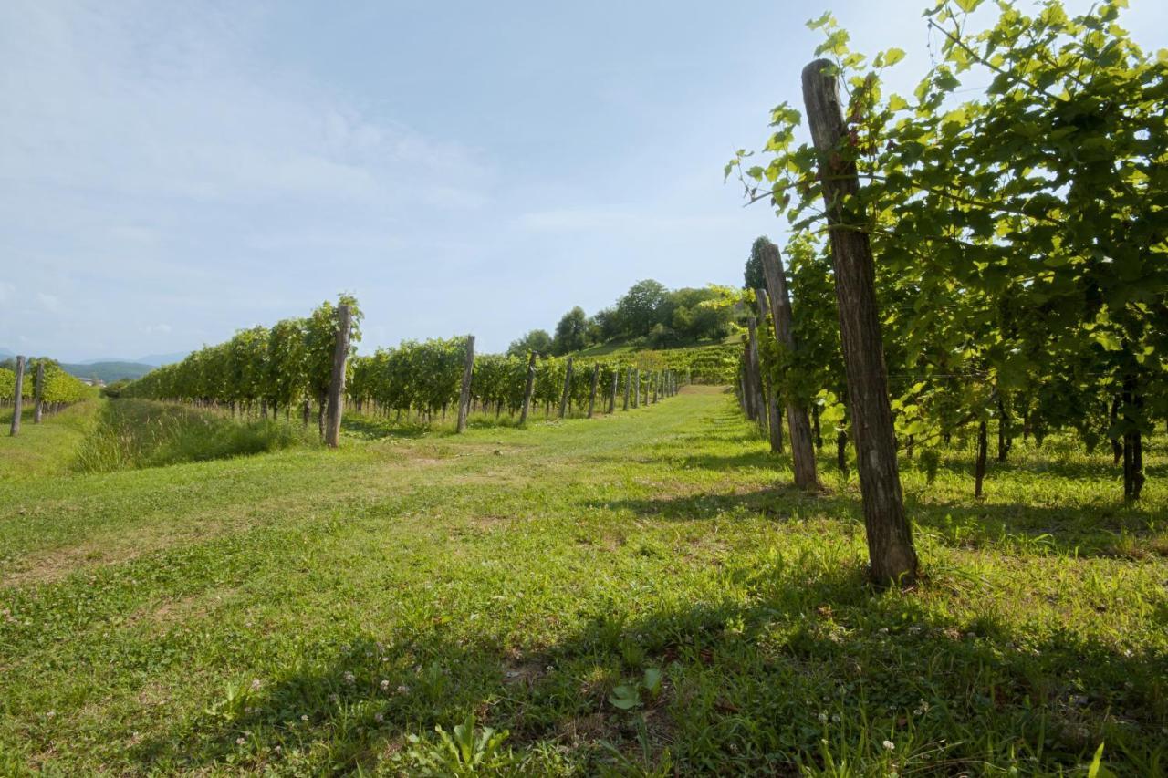 Corno di Rosazzo Alloggio Agrituristico Corte San Biagio מראה חיצוני תמונה