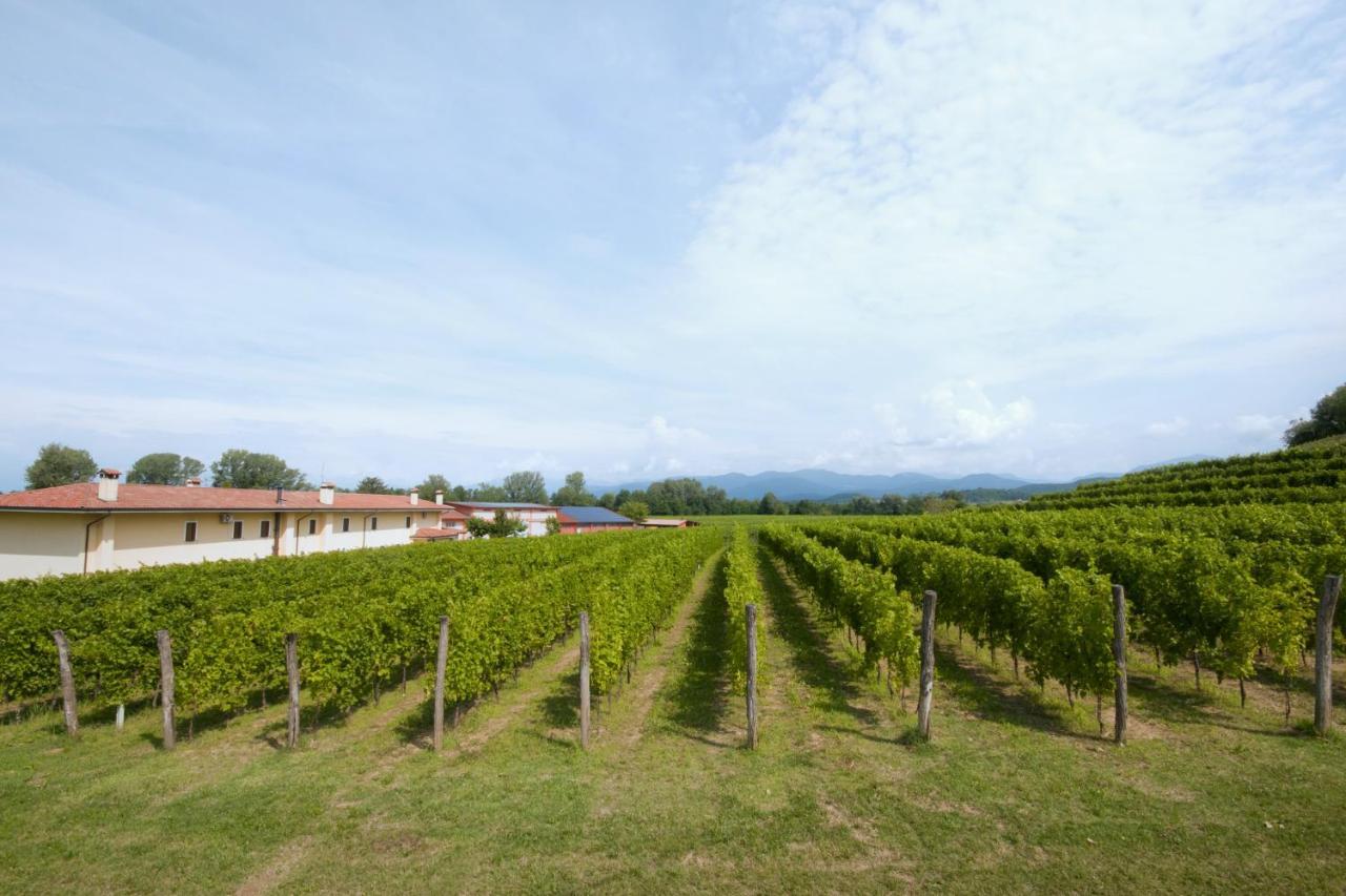 Corno di Rosazzo Alloggio Agrituristico Corte San Biagio מראה חיצוני תמונה