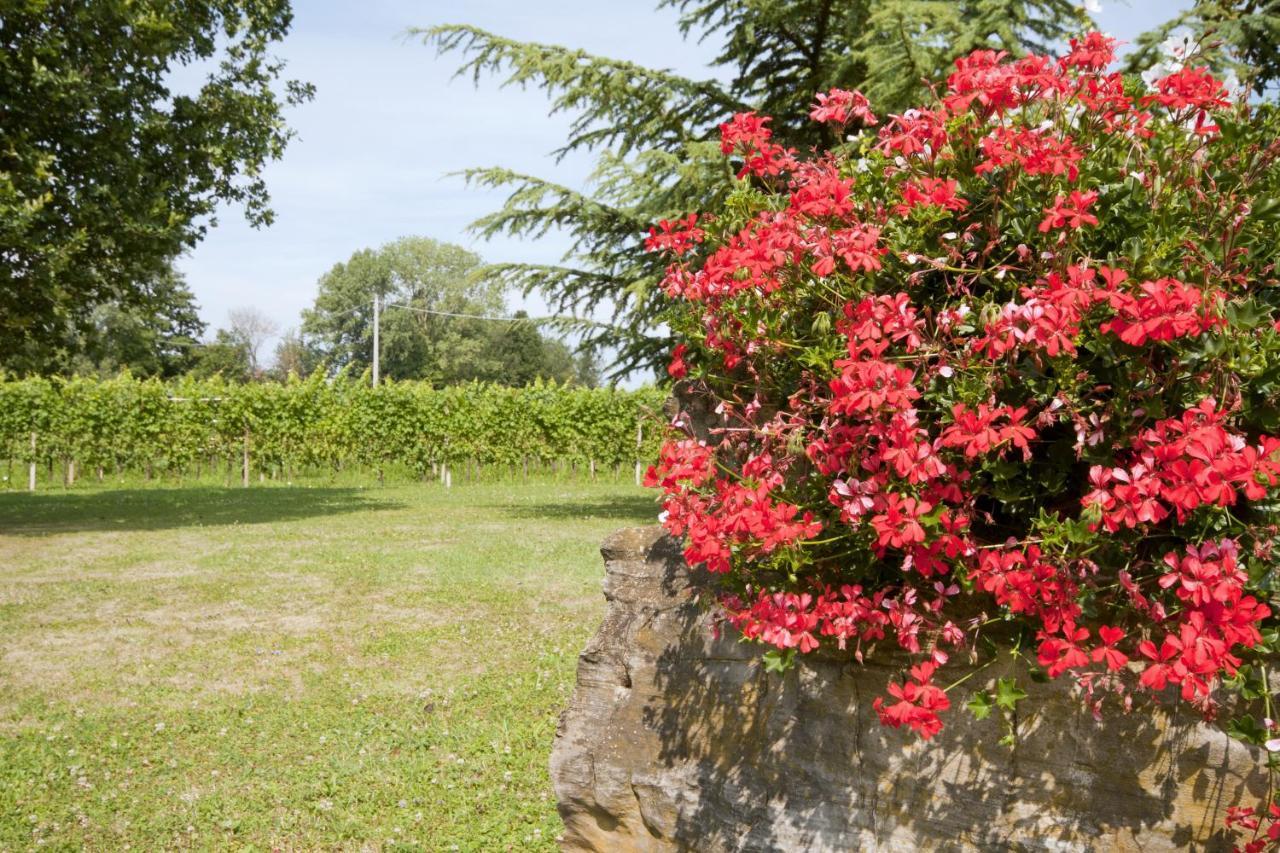 Corno di Rosazzo Alloggio Agrituristico Corte San Biagio מראה חיצוני תמונה